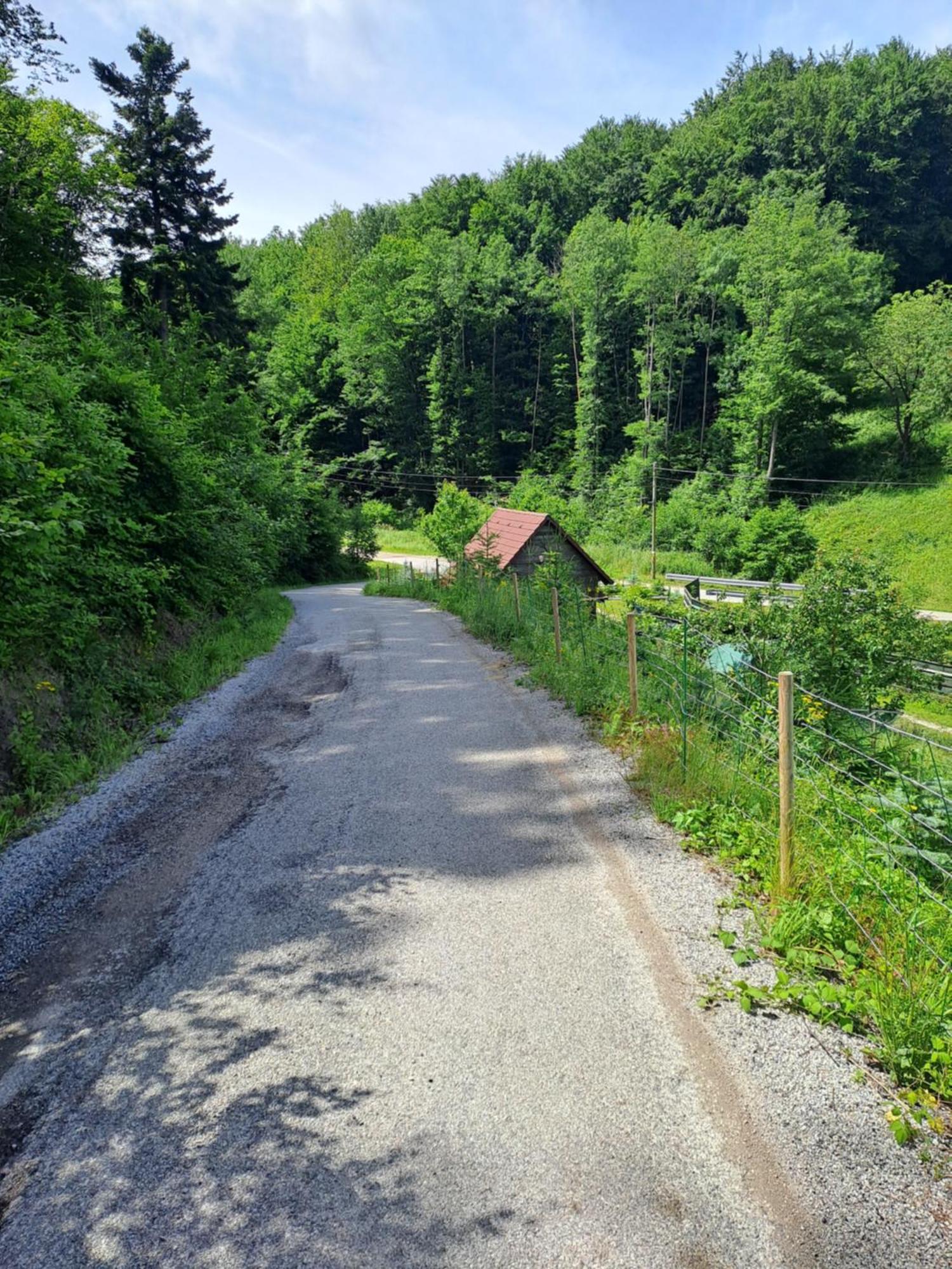 Das Altsteirische Landhaus - La Maison De Pronegg - Feriendomizil Im Biosphaerenpark Wienerwald Pressbaum Exterior foto