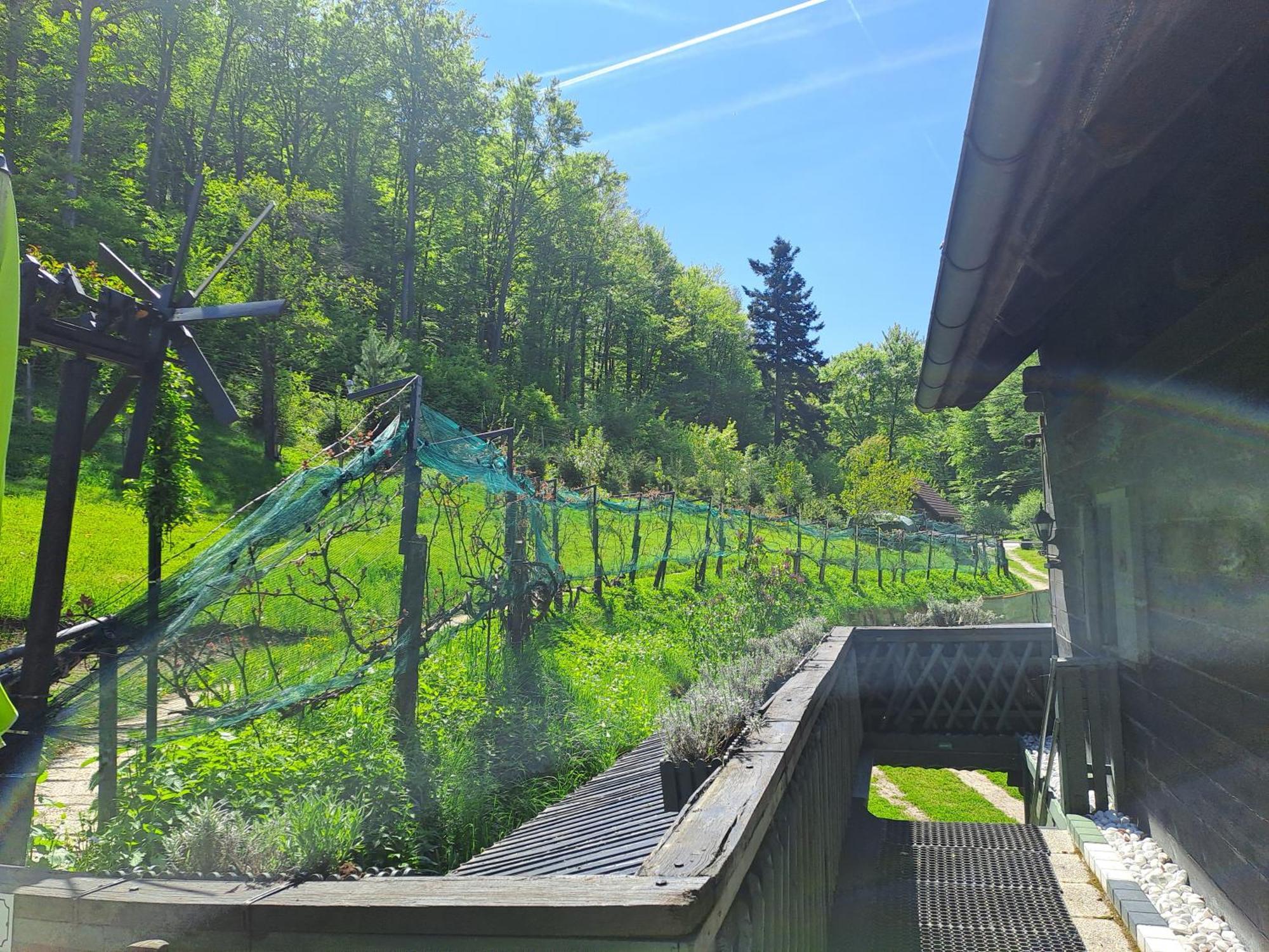 Das Altsteirische Landhaus - La Maison De Pronegg - Feriendomizil Im Biosphaerenpark Wienerwald Pressbaum Exterior foto